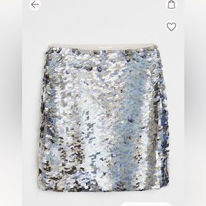 NWT sequined skirt. Size large